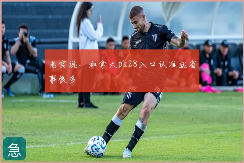 老实说，加拿大pk28入口认准就省事很多
